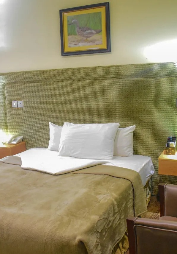 Rodinia hotel in Asaba deluxe room